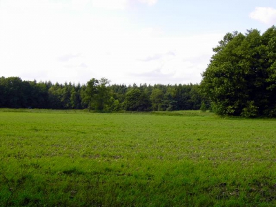 Wohlenrode_97