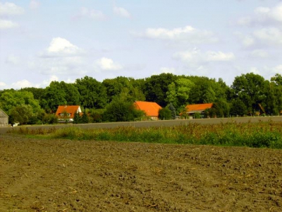 Wohlenrode_80