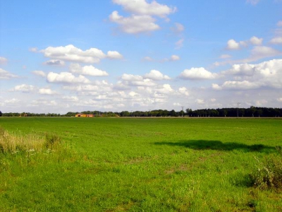 Wohlenrode_94