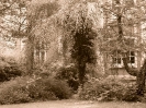 Schloss Eldingen_98