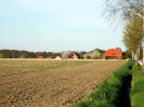 Hohnhorst_100