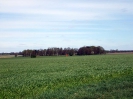 Wohlenrode_31