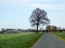 Wohlenrode_33