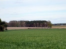 Wohlenrode_35