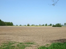 Ziegelei_45