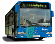 Cebus_Bus_230